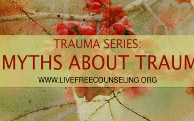 Trauma Series: 5 Myths about Trauma