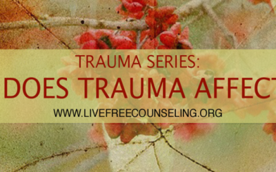 Trauma Series: How does trauma affect me?