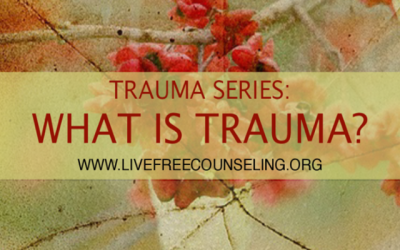 Trauma Series: What is trauma?